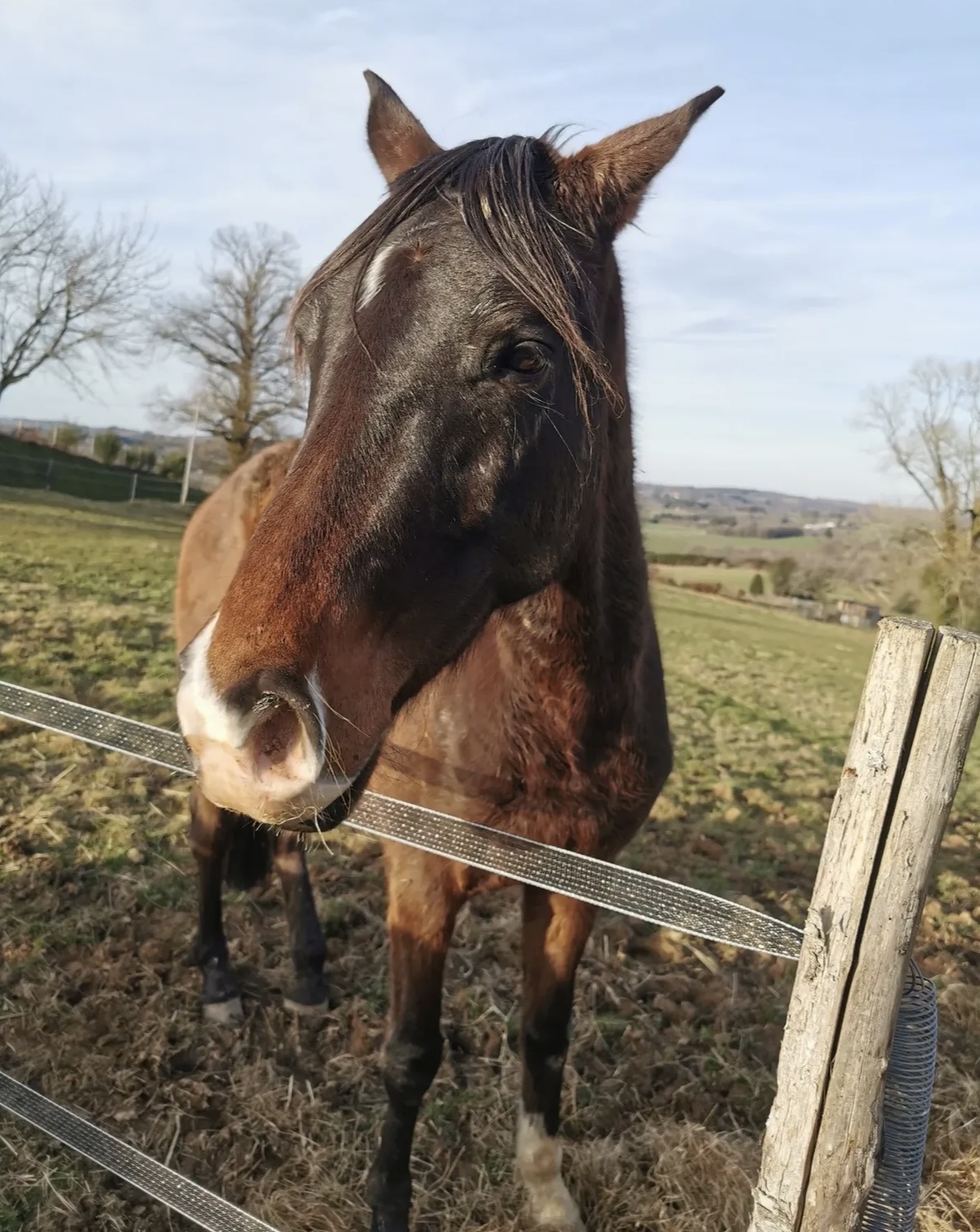 Publication Instagram 1