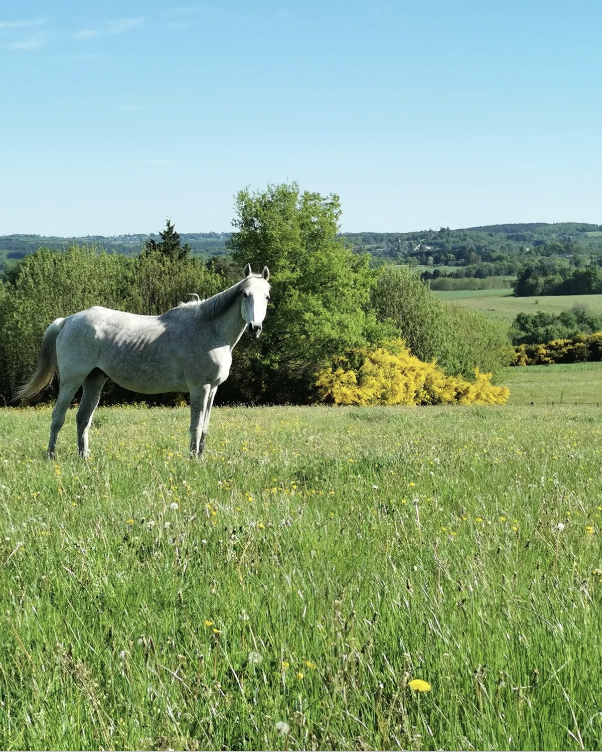 Publication Instagram 2