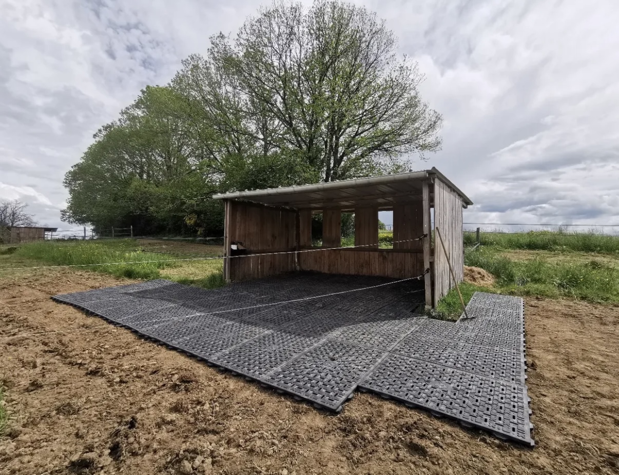 Publication Instagram 3